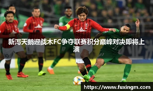新泻天鹅迎战木FC争夺联赛积分巅峰对决即将上演